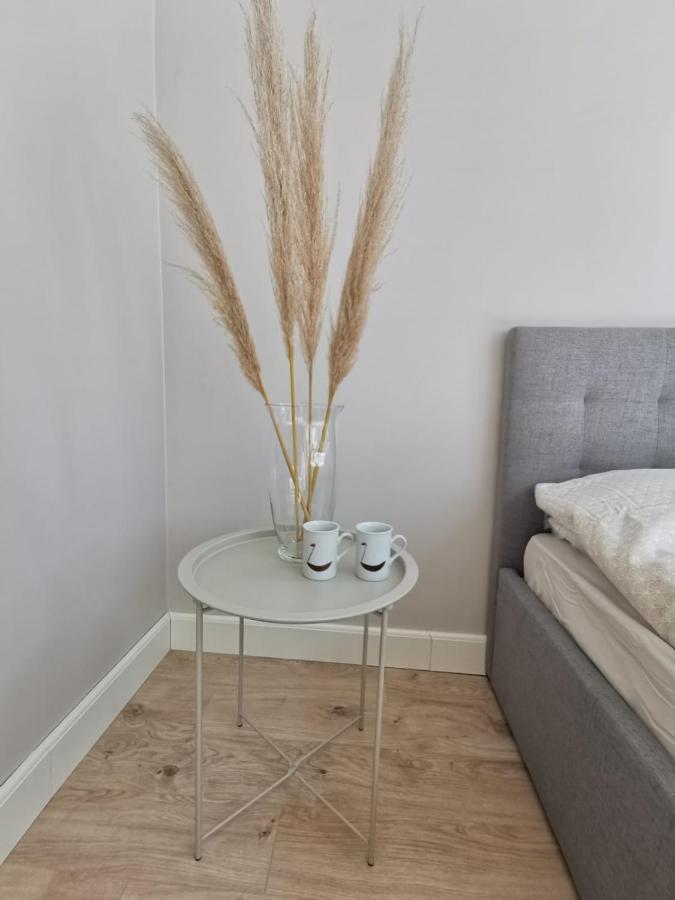 Tolstoi Scandinavian 1 Bedroom Apartment + Free Parking Tartu Kültér fotó