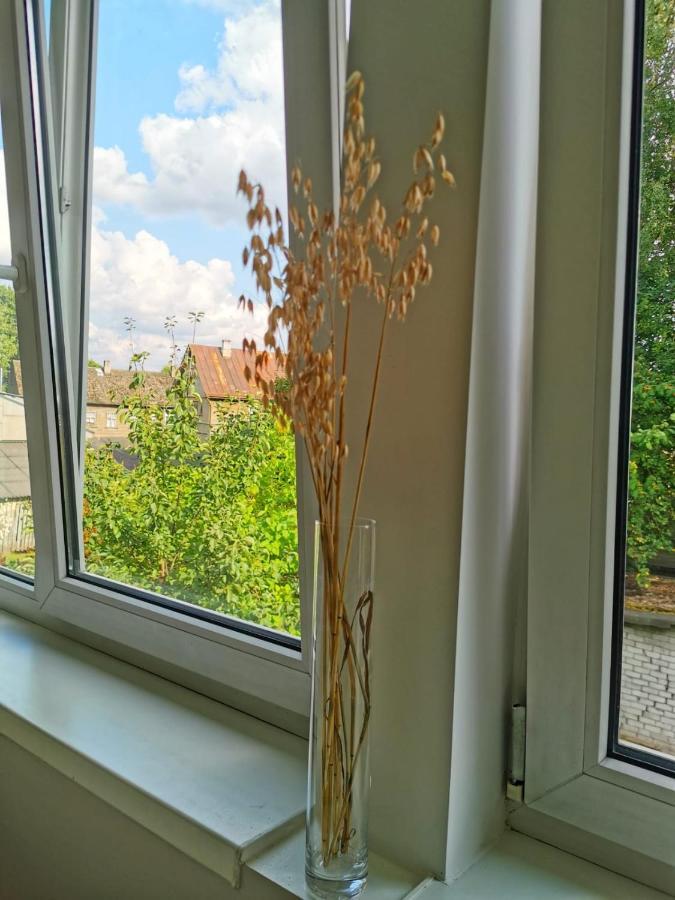 Tolstoi Scandinavian 1 Bedroom Apartment + Free Parking Tartu Kültér fotó